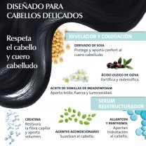 Ingredientes Colour Clinuance 1.0 Negro