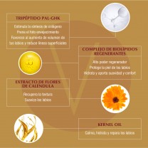 Ingredientes tratamiento antiedad voluminizador Volumax Ingredientes tratamiento antiedad voluminizador Volumax