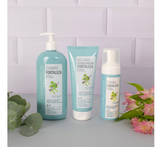 Línea Fortaleza Clearé