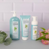 Línea Fortaleza Clearé