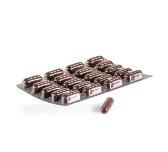 Pastillas piel canela comprimidos