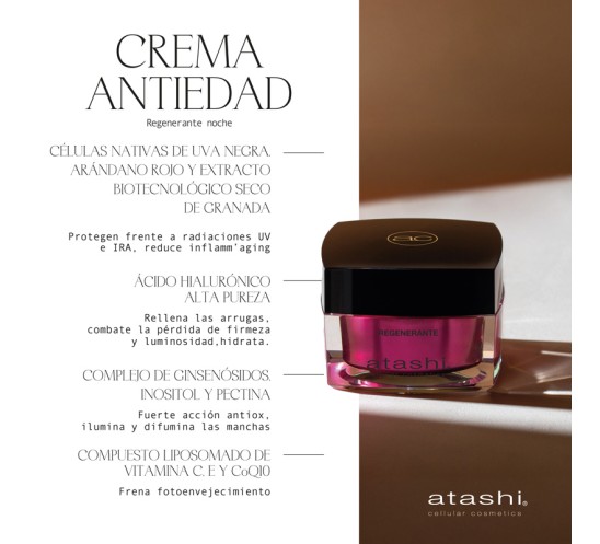 Ingredientes Crema antiedad regenerante noche Atashi