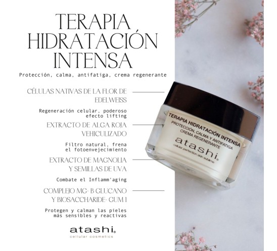 Ingredientes Terapia Hidratación Intensa Atashi