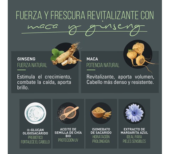 Principales propiedades de los activos de l champú de ntt men