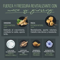 Principales propiedades de los activos de l champú de ntt men