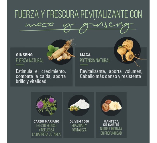 Principales propiedades de los activos del champú de ntt men