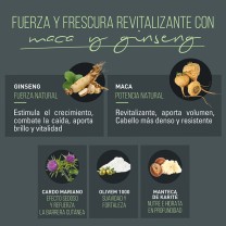 Principales propiedades de los activos del champú de ntt men