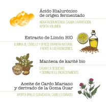 Ingredientes masacrilla Hyaluronic Nature