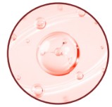 Icono Euglena gracilis · Cafeína · Palmitoil carnitina · Glaucium flavum