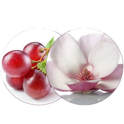 Magnolia y semillas de uva