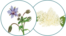 Haloxyl