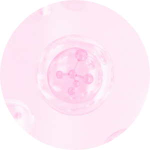 Fat burn booster complex de doble acción: