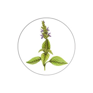 Aceite de semilla de chía