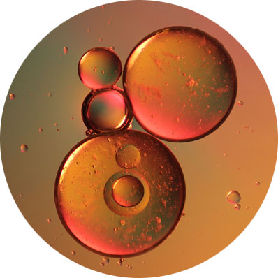 Complejo de ginsenósidos, inositol y pectina