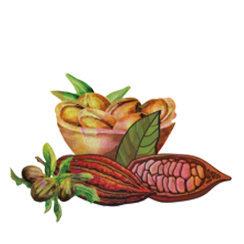 Manteca de Karit&eacute; BIO