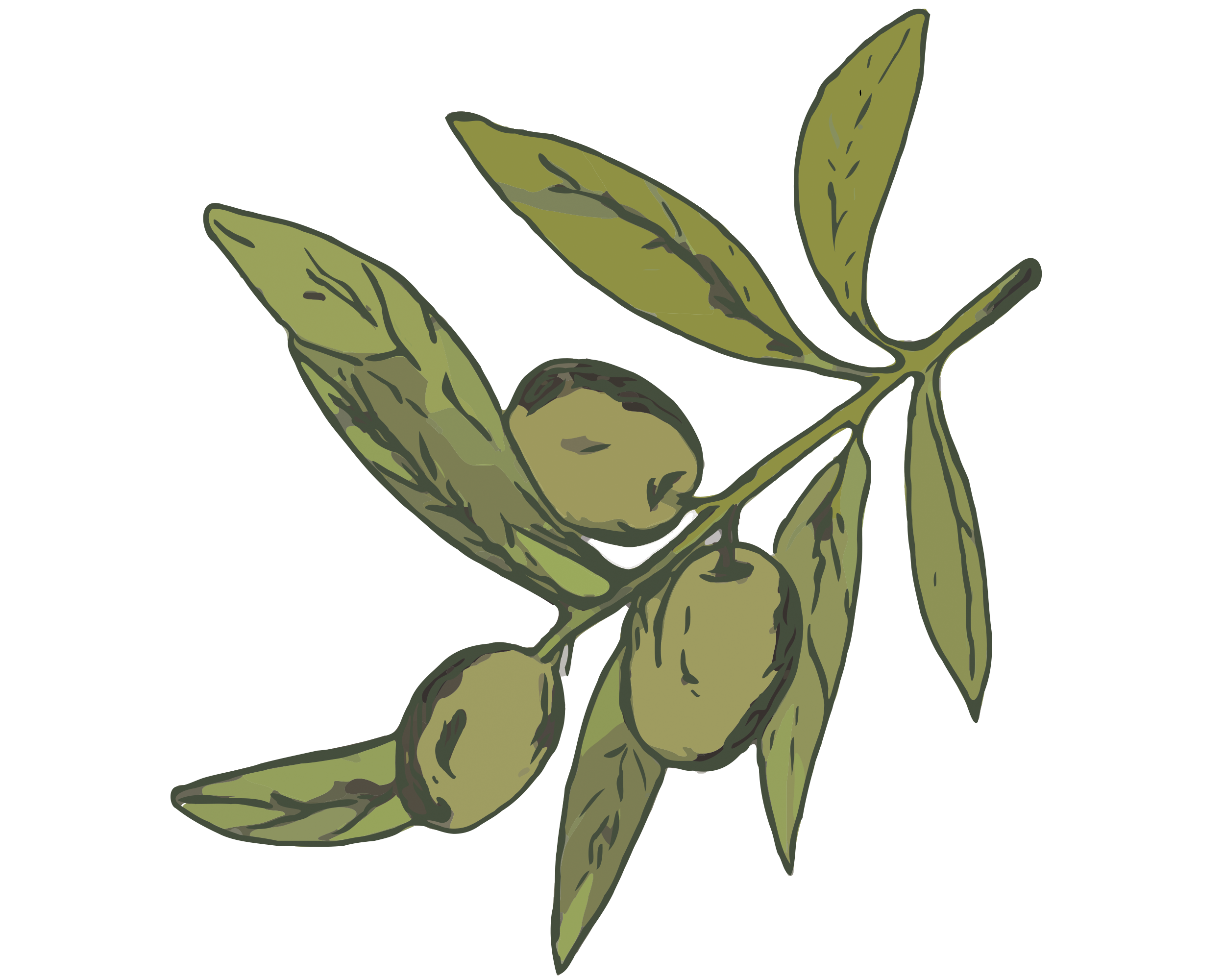 Olive Cream