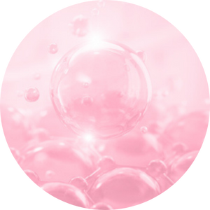 IconoExtracto de Phaseolus lunatus, Rutina y Vitamina E