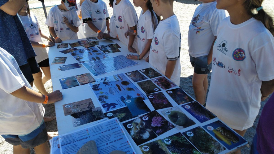 niños ayudan recogida basuras phergal y ocenidas granada