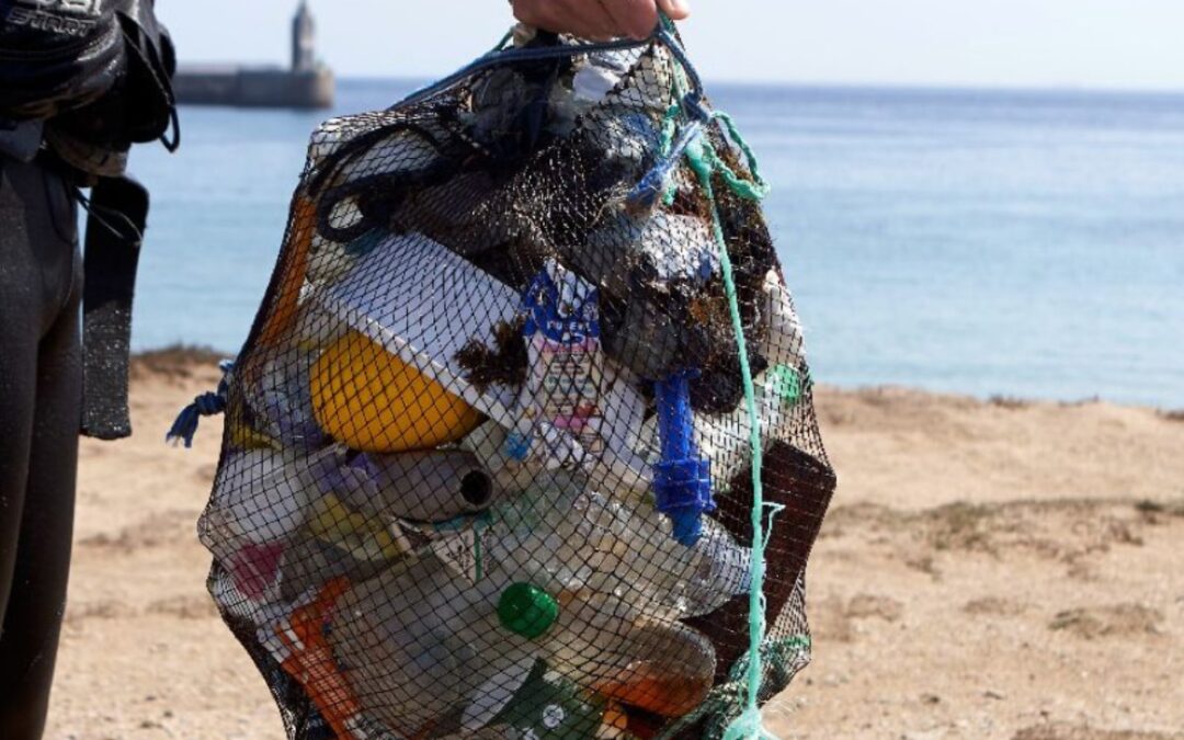 recogida basura phergal y oceanidas playa granada