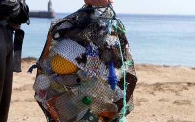 Laboratorios Phergal colabora con Oceánidas en la recogida de 100 kilos de basura marina en las playas de Granada